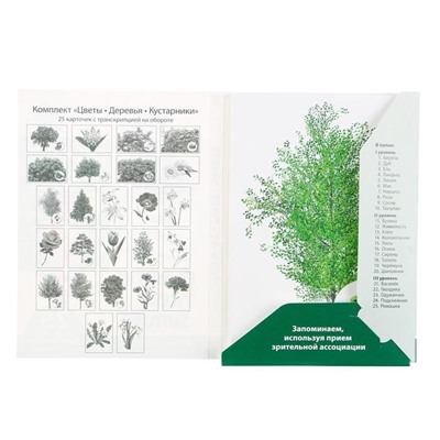 Обучающие карточки "Цветы, деревья, кусты" 25 карточек с транскрипцией на обороте